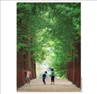 dailyPhoto6